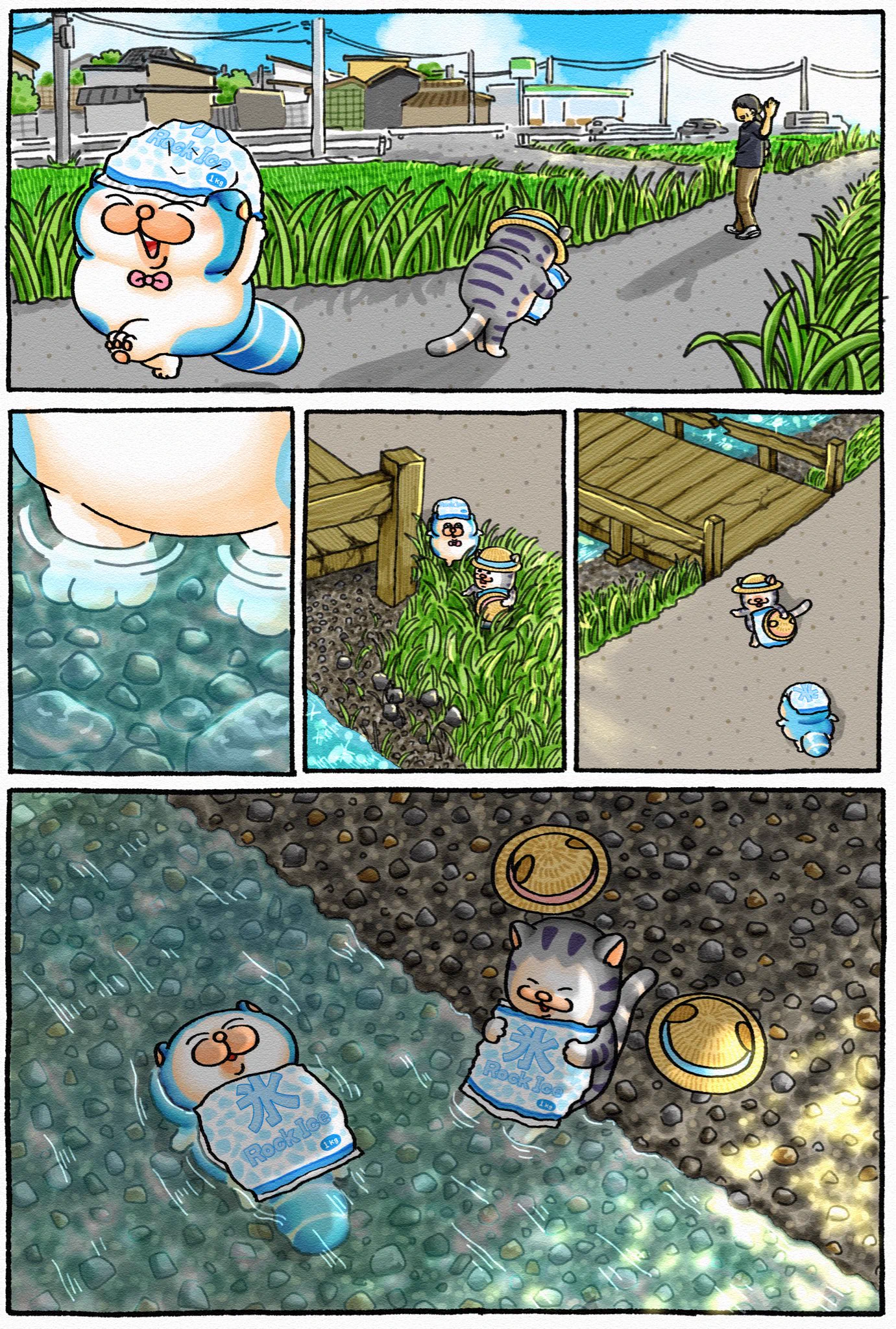 まめきちまめこ on X: 