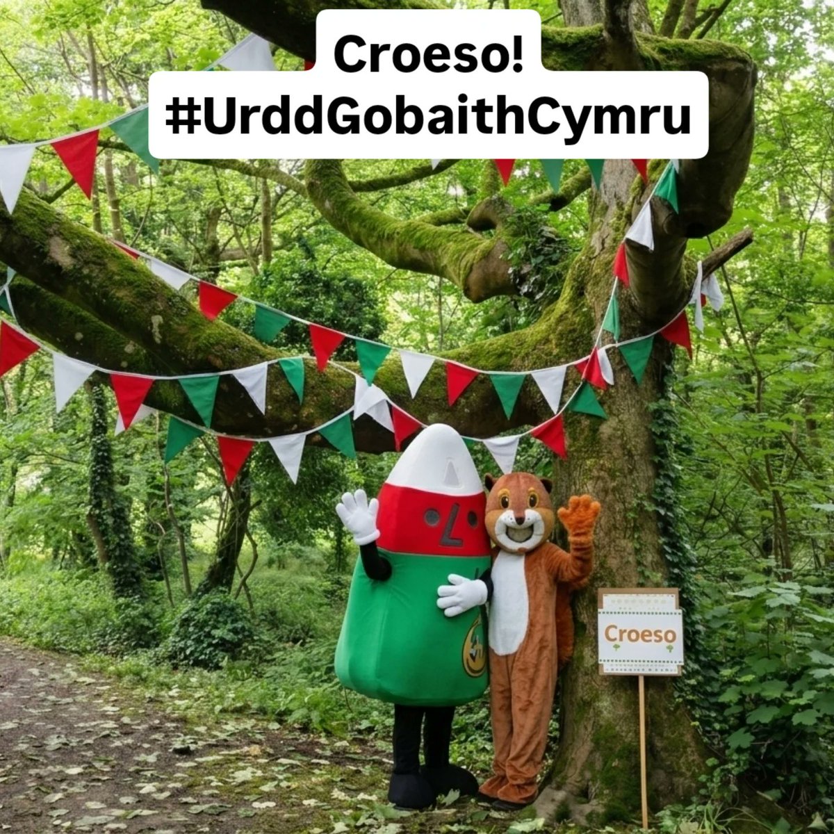 ACHUB PENRHOS / SAVE PENRHOS NATURE RESERVE 🍃💚🍃 tweet media