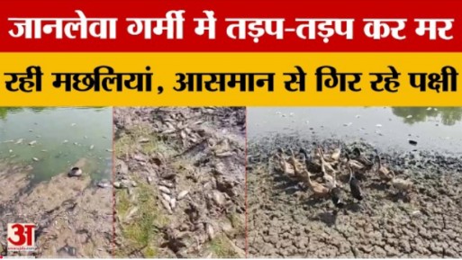 Nitin Rajput tweet media