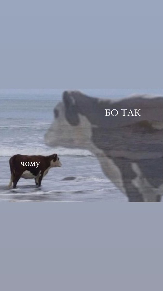 Ігор tweet media