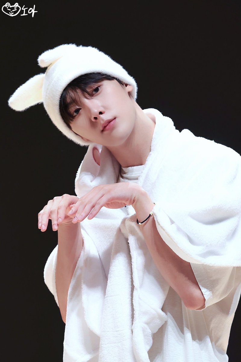 노아🍀 tweet media