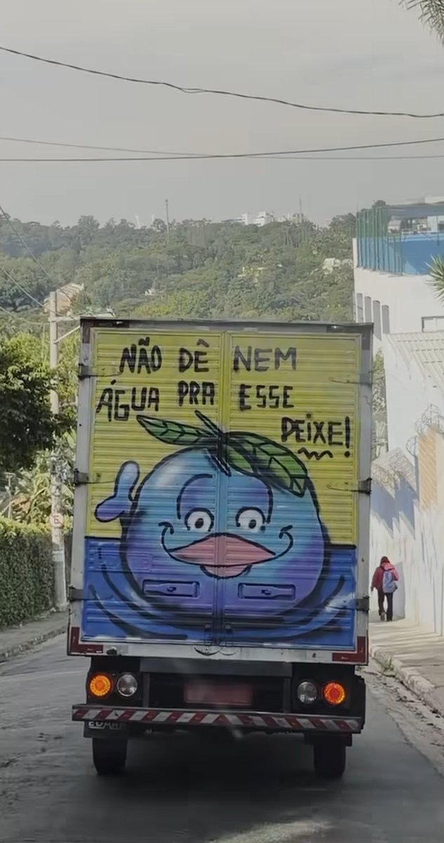Portal Patixa Telo 🌼 tweet media