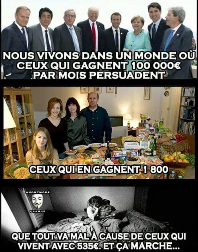 Vincent le roi des chats 👑😼 tweet media
