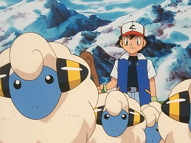 Daily Sheep! 🐑 tweet media