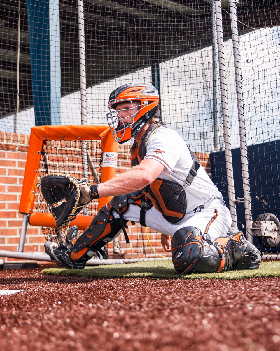 Campbell Baseball tweet media