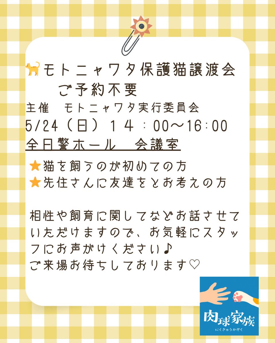 hogo_nyawata's tweet photo. 日曜はモトニャワタ保護猫譲渡会です！
全日警ホールにて開催いたします。
猫と暮らしてみたい、どんな猫がいるのかな？などご興味があれば、ぜひお越しになってみてください！

保護部屋でもお見合いも可能です。
不明な点などスタッフにお気軽にお声がけください。
心よりご来場お待ちしております♡ https://t.co/k3SbkqAZ4L