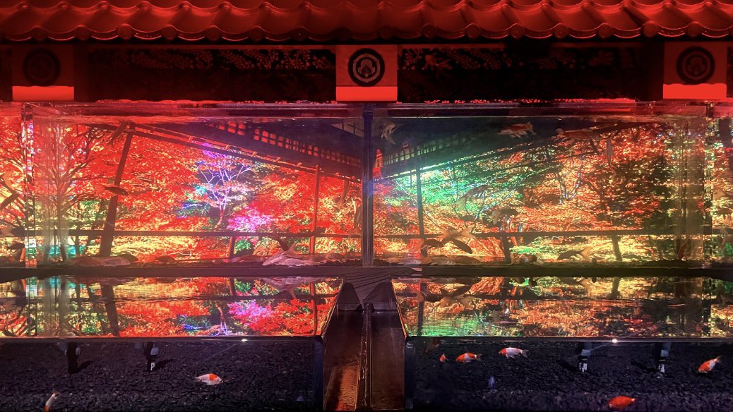 stellac0rda's tweet photo. 𓏸 𓂂 𓈒 🐟🤍 https://t.co/p5JBMHaIhx