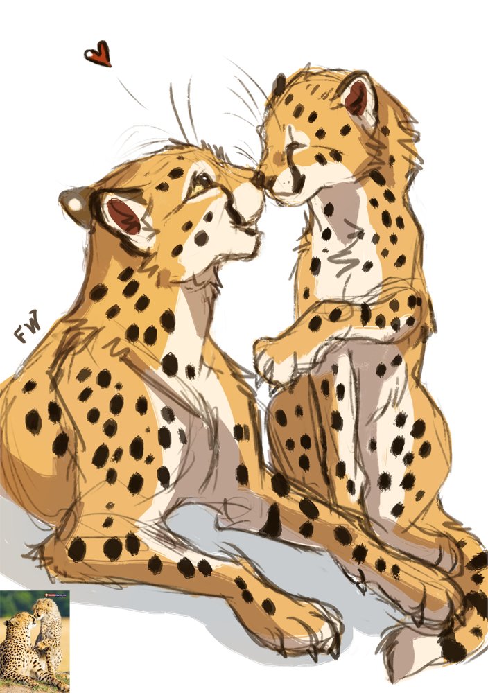 FlashWhite_'s tweet photo. My situation became difficult. Rent is due in a few days, and I will need medical tests, a doctor visit soon too.

Donations are a big help and a chance for me. It accepts card and PayPal:
https://t.co/Tvht2YTNrg

Thank you for supporting me, my animals, and my art
Please RT https://t.co/9HefUbjnj5