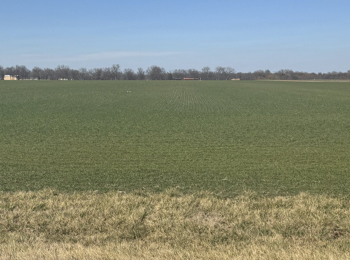 AVHighPlains's tweet photo. New home for Corn, Soy, Sorghum and Ag research for 2027! https://t.co/5M8feZM7Tl