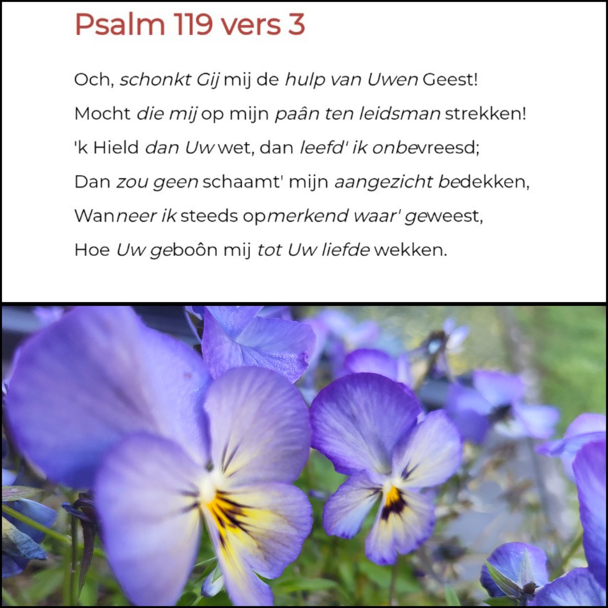 Aline van den Berg tweet media