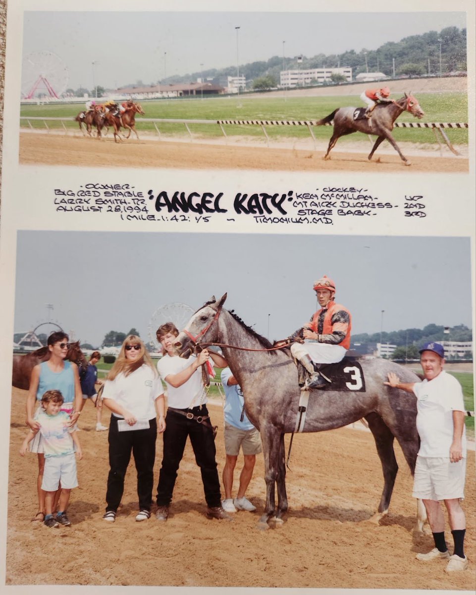 DRFMoquin's tweet photo. Photos of Angel Katy, kindly passed along by Larry Smith. Can anyone else find or remember a horse who won at Laurel, Pimlico, Fair Hill, and Timonium? https://t.co/UlThI5V1Y1