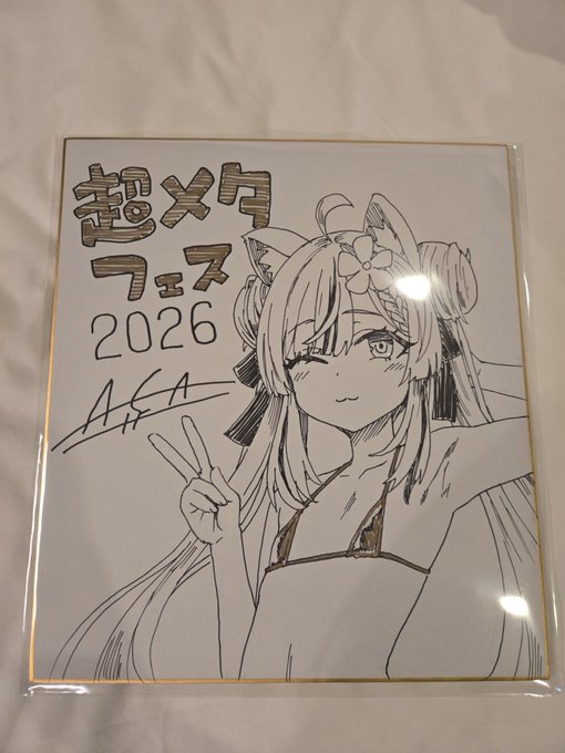 超メタフェス、本当に楽しかったです!! 人生の中でも指折りに強く記憶に残る、最高のイベントになりました。 海外からかなりの物量を持ち込んだこともあり、色々と大変な部分もありましたが、無事に終えることができました。 何より、本当にたくさんの方に助けていただきました。