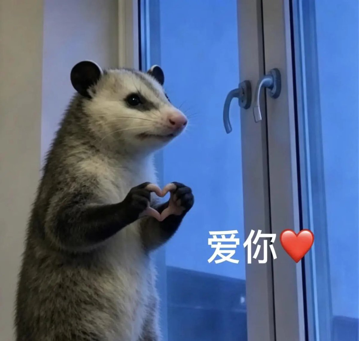 青蛙哥web3 tweet media