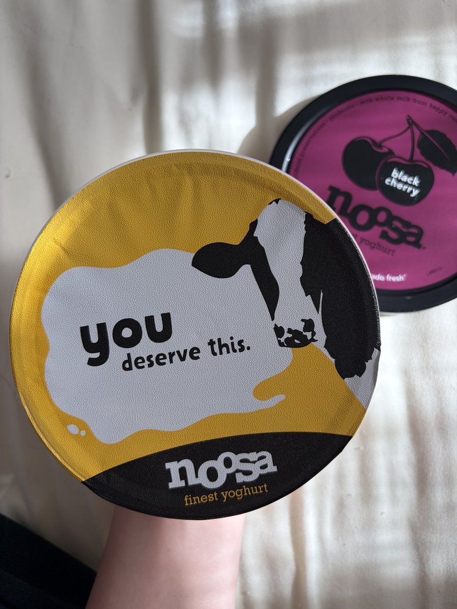 prcelaindolly's tweet photo. .@noosayoghurt is single-handedly carrying my ED recovery https://t.co/lft5b58OB3