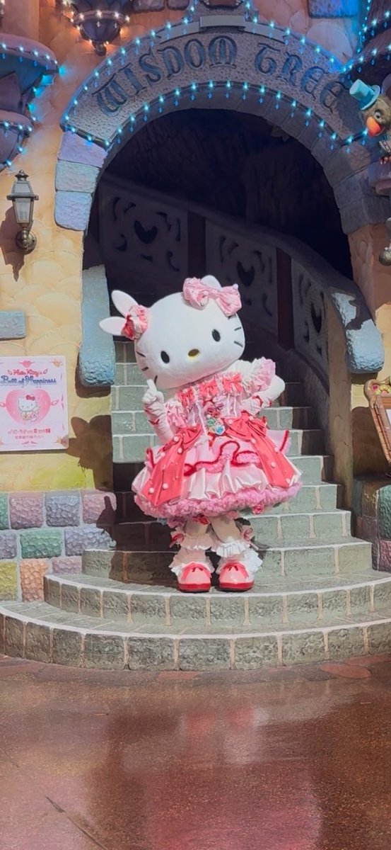 i2_d_u's tweet photo. 5/23 またまた久しぶりピューロ❣️新しいスマホケースでキティちゃんに会いに行ったら、キティちゃんにダニエルくんのところだけ切り取って欲しいと言われた😹😹はぴふぇす大階段から見れてサイコーだった〜〜（ ;  ; ）🩷🩷今日もキティちゃんが世界で一番可愛いかったなー₍^⸝⸝ᴗ ᴗ⸝⸝^₎♫ https://t.co/6eEPeK9BsP