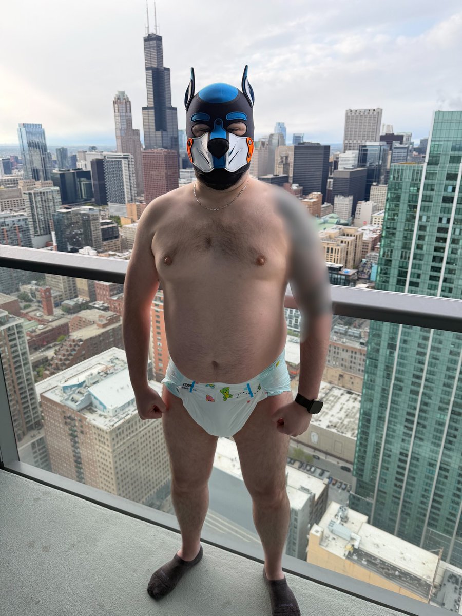 NYC Diaper Pup tweet media