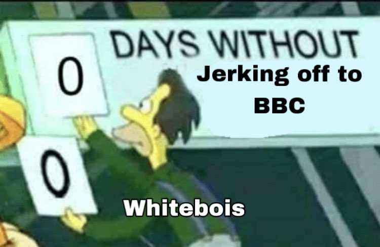 BNWO MEMES tweet media