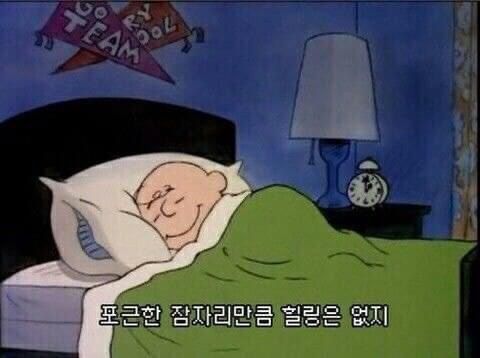 청포도에이드 tweet media