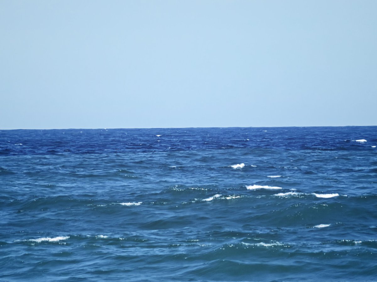 FranklinOrmaza1's tweet photo. stationD
The ocean is very much alive today! 💙🐟🌿 Perfect mix of Humboldt Current productivity. Who else is enjoying the Pacific coast this weekend?
cloudiness 1/8
waves 1.6-1.8 m, 12 s
fetch, ovejitas en el horizonte.
@negro475 @fimcmespol 
Humbolt arriving strongly https://t.co/sN2PXaXNq5