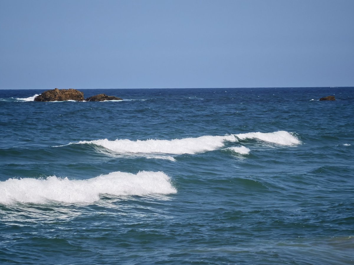 FranklinOrmaza1's tweet photo. stationD
The ocean is very much alive today! 💙🐟🌿 Perfect mix of Humboldt Current productivity. Who else is enjoying the Pacific coast this weekend?
cloudiness 1/8
waves 1.6-1.8 m, 12 s
fetch, ovejitas en el horizonte.
@negro475 @fimcmespol 
Humbolt arriving strongly https://t.co/sN2PXaXNq5