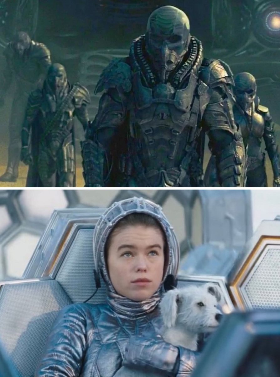 El Gato de Ozymandias 🐈⬛🧠🎬 tweet media