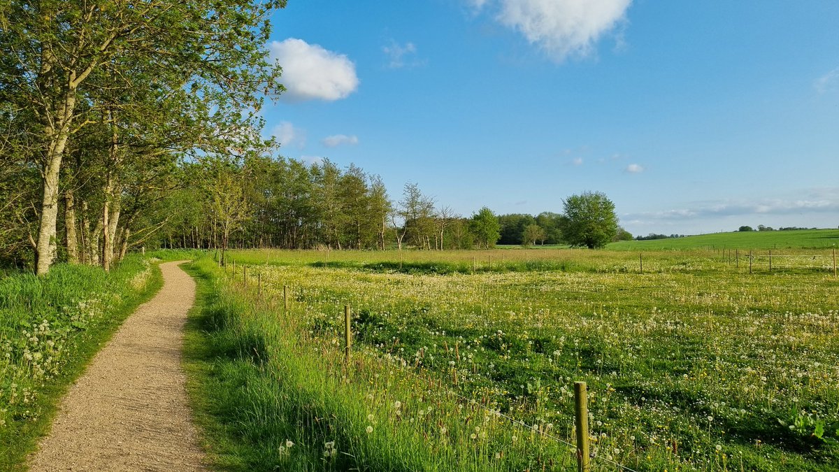 CryptoFloki's tweet photo. touching grass today

happy weekend ☀️ https://t.co/djUbcqrjz4