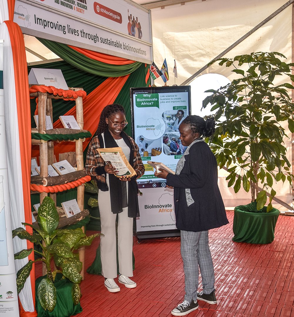 BioInnovate Africa tweet media