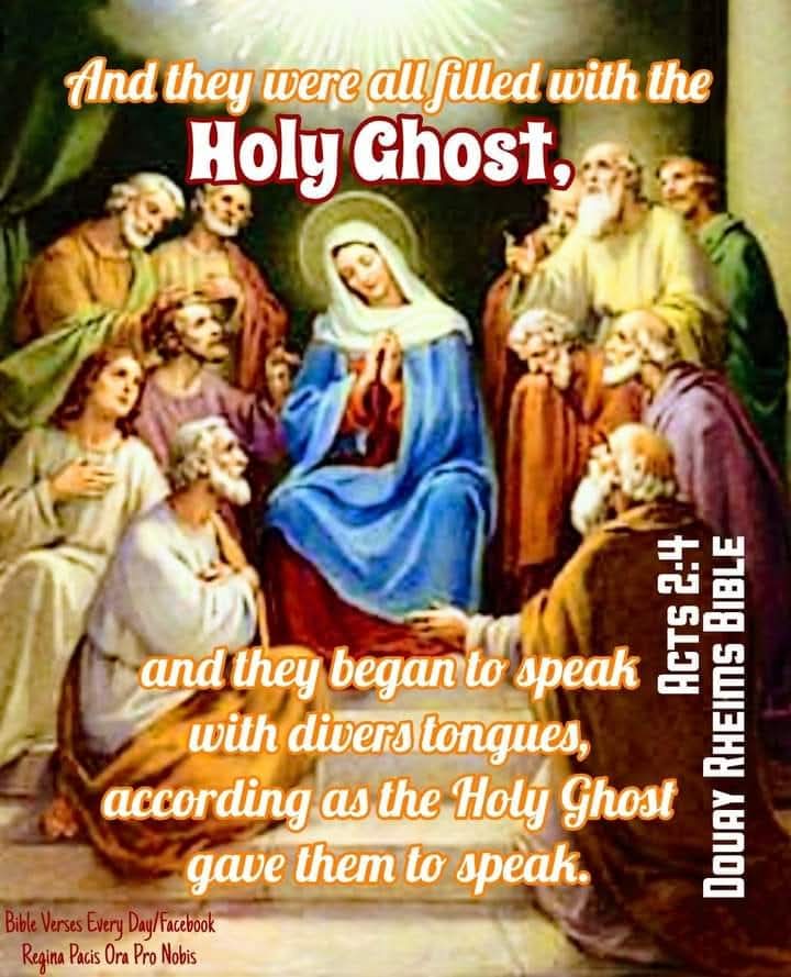 Douay Rheims tweet media