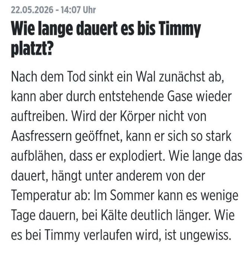 Georg ‘Maverick’ Löfflmann tweet media