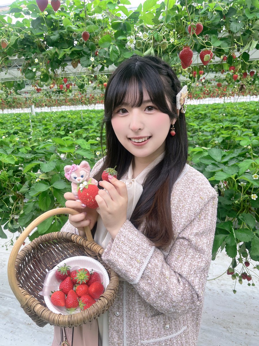 いちごの狛犬 おもしろ小箱】No.273「初公開！ 北前船が運んだ笏谷石狛犬」 | 山口の アクリルスタンド