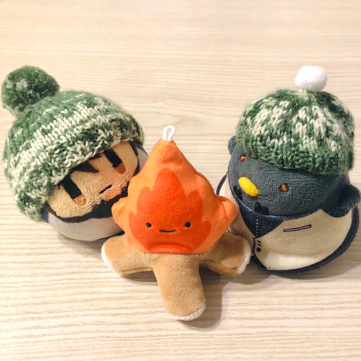 高城(道具)🐰🐯🐰🐲🤖🐊 tweet media