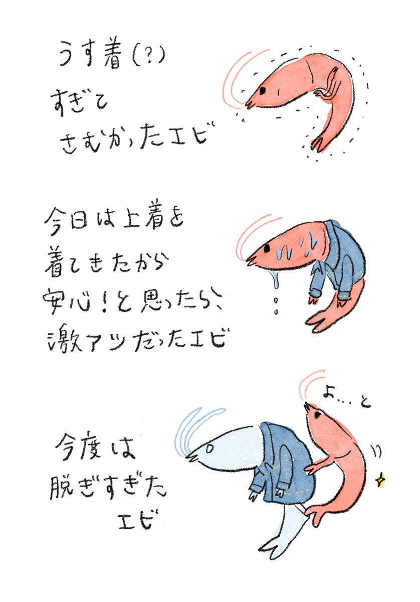 すしず🦐エビちゃん🍤 tweet media