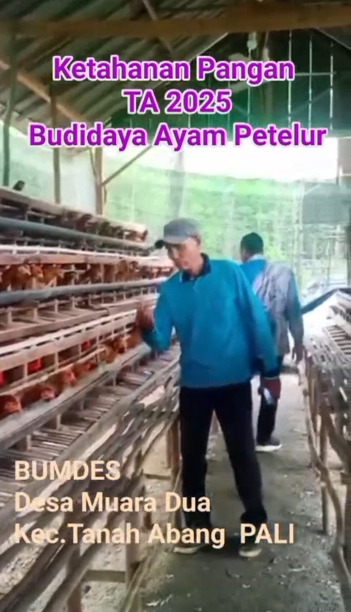 Atini72's tweet photo. BUMDesa Desa Muara Dua, Tanah Abang, Paling SumSel mengelola Ketahanan Pangan untuk meningkatkan ekonomi rakyat. 

@YandriSusanto
@ARizaPatria
@KemensetnegRI

#KementerianDesaPDT
#BPSDMKementerianDesaPDT
#BUMDesaKelolaKetahananPangan
#BUMDesaKerjasamaKDMP
#KerjaTPPBerdampak https://t.co/bdVXRCZc62