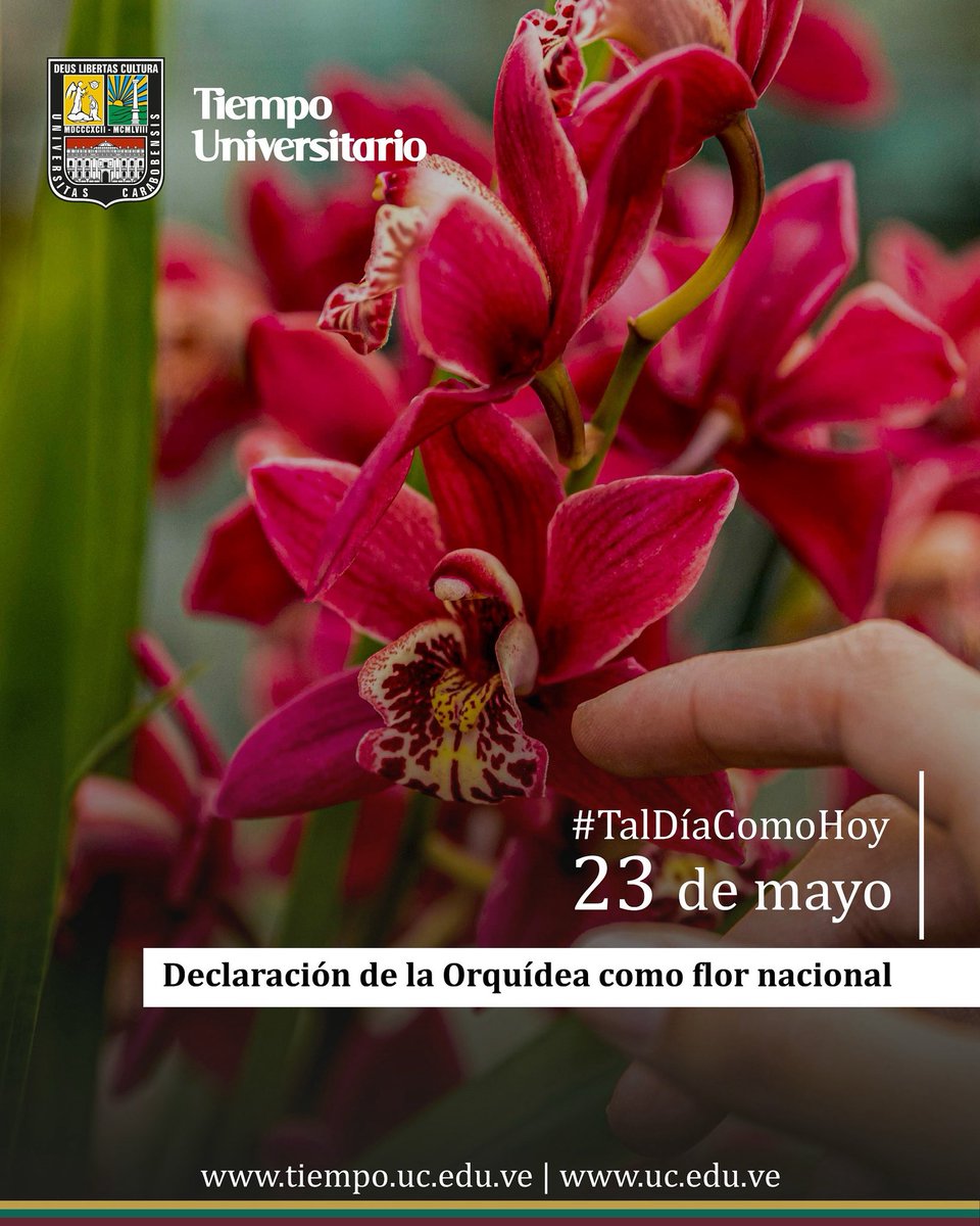 Universidad de Carabobo tweet media