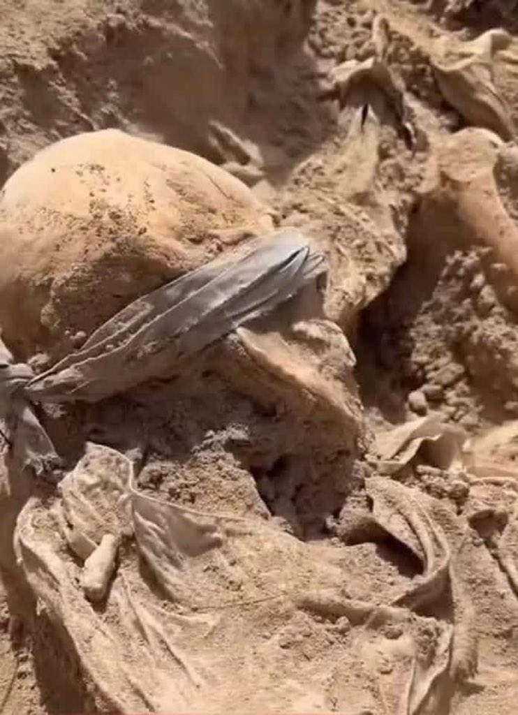 أُميـة التكريتي 🇮🇶 tweet media