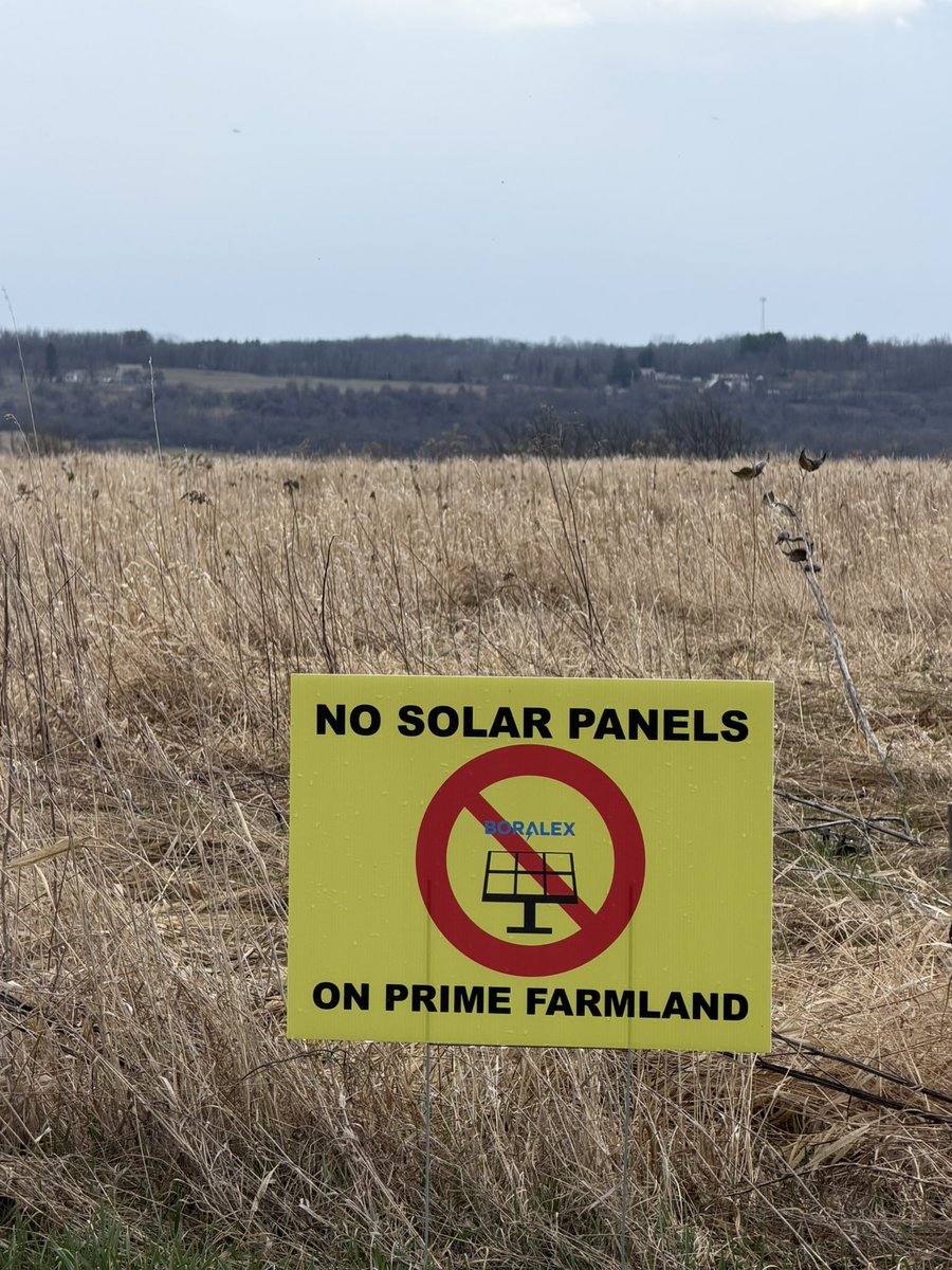 alex_fasulo's tweet photo. We don’t want your renewable detention center in our rural Upstate New York towns.

Save American farmland.

Save American prairie. 

We don’t want foreign solar corporations destroying the land that sustains us. https://t.co/OHtGxSnx8E