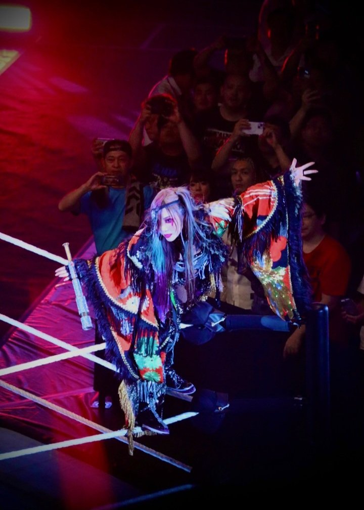 icaughtfyre's tweet photo. Writing &amp; characters with content, substance, charm, emotion, heart, &amp; soul. That's what's lacking for me in WWE, while I was still watching. Not to constantly bring up that I stopped, for context if the show changed while I wasn't looking. Kairi had all those things in spades https://t.co/aCaVrnyesG