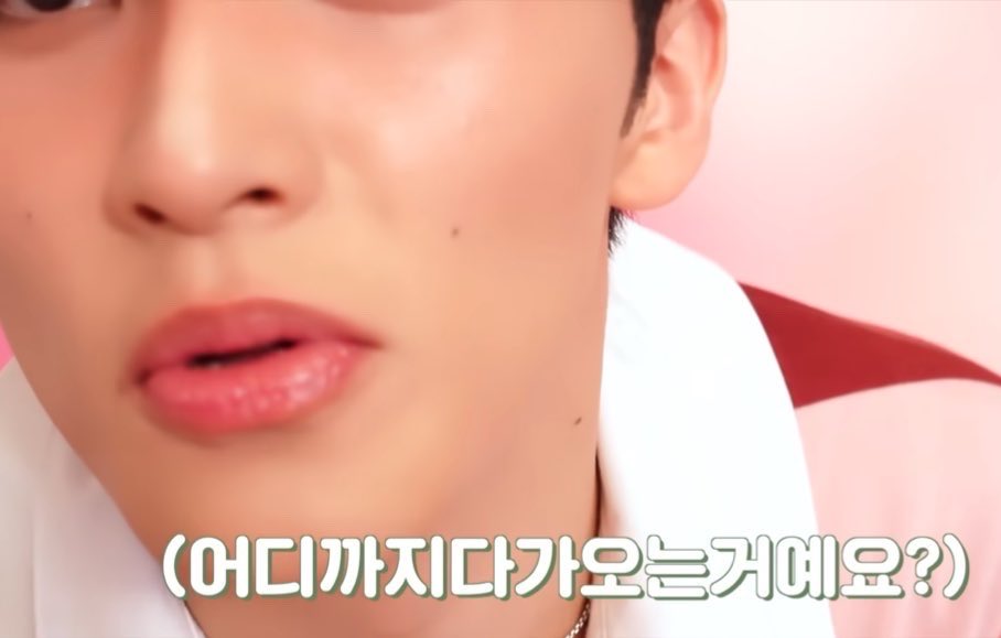 말미잘( ͡•. •͡. ) tweet media