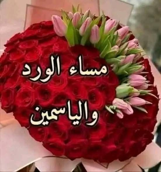 أسامه الاشقر tweet media