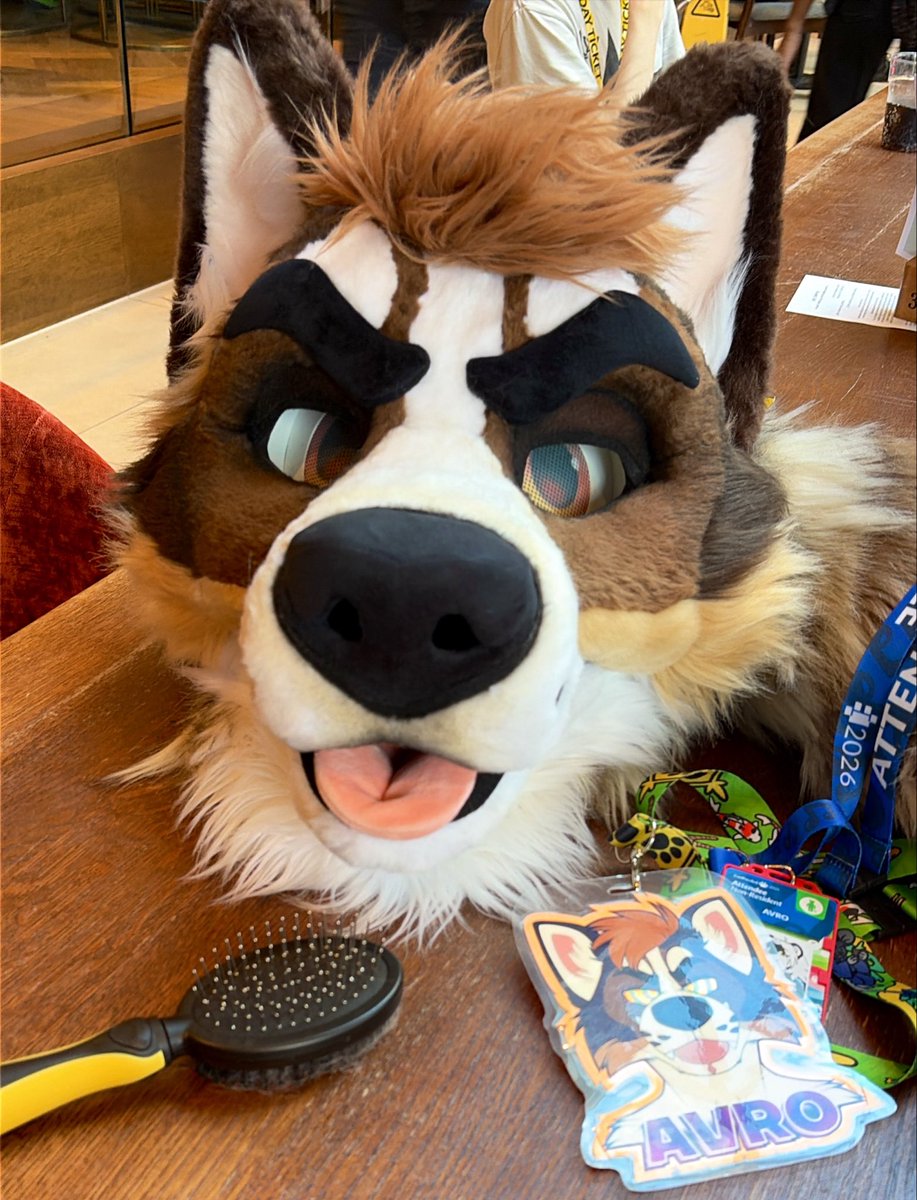 AvroFox's tweet photo. Will be suiting around CFz later! Come say hi/offer fan https://t.co/WkfCfOlG2a