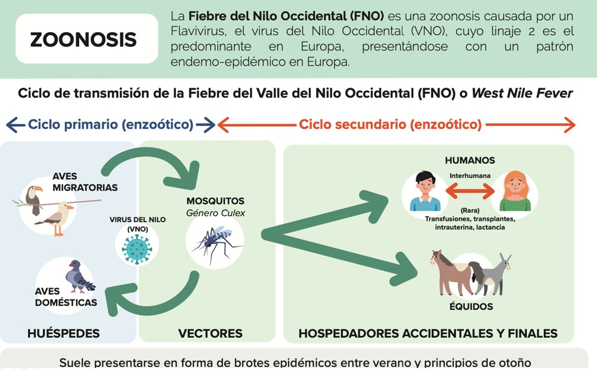 GRINDOPE's tweet photo. 💥Infecciones emergentes: Fiebre del Nilo occidental (Dr.Carlos Rodrigo) #grindope2026 https://t.co/sfvGbEtiMZ