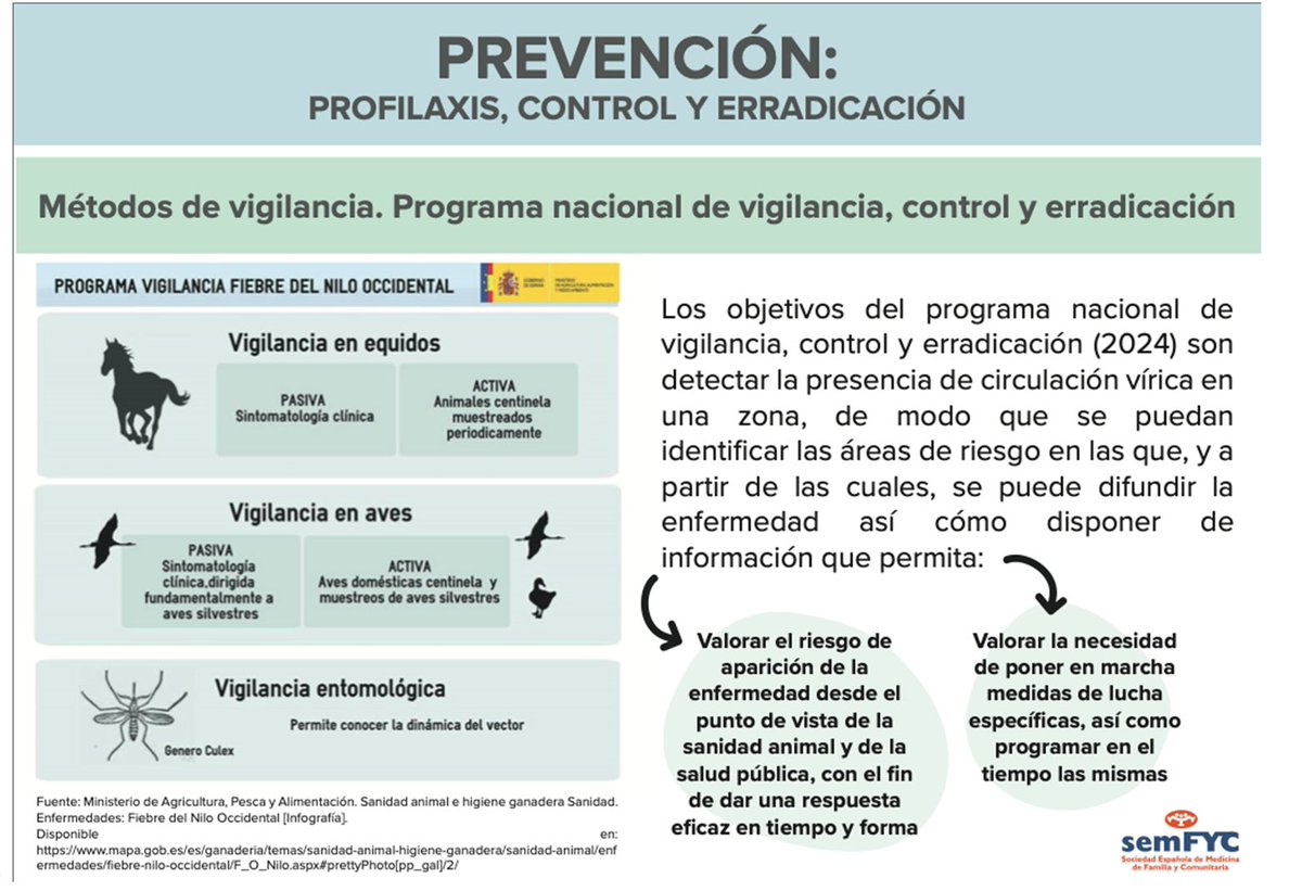 GRINDOPE's tweet photo. 💥Infecciones emergentes: Fiebre del Nilo occidental (Dr.Carlos Rodrigo) #grindope2026 https://t.co/sfvGbEtiMZ
