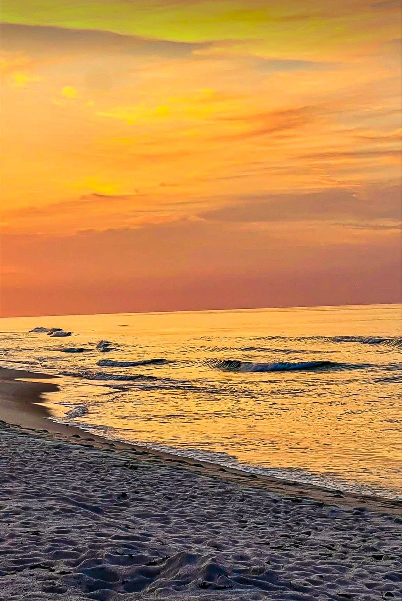 City of Orange Beach tweet media