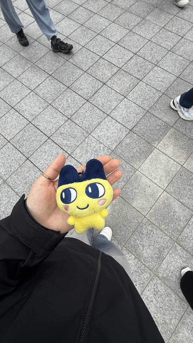 3seey's tweet photo. 마메치의 자살시도....
반려악어 입양 https://t.co/B7XorN6z0L