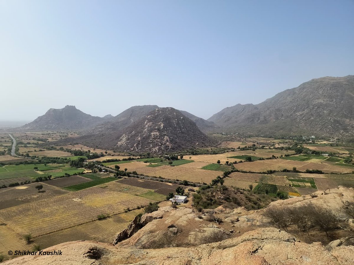 slothbear2026's tweet photo. The fieldwork for #WIIProjectSlothBear has now expanded into the ecologically significant landscape of Sundhamata Conservation Reserve. ๐ป๐ฟ
Situated within the southern Aravalli landscape, Sundhamata represents a complex interface of wildlife habitat and intense human use. Large parts of the landscape are heavily infested with Prosopis juliflora , an invasive species that is altering native vegetation structure and habitat quality. At the same time, the buffer regions experience high human activity, livestock movement, and intense browsing pressure, creating additional challenges for wildlife persistence and habitat recovery.
Our ongoing surveys focus on generating baseline ecological information through extensive vegetation sampling, habitat assessment, scat collection for genetic analysis, and evaluation of human pressure across the landscape. Alongside ecological assessments, the project also aims to understand humanโbear interactions and coexistence challenges from the human perspective through socio-economic surveys and community-level engagement. These efforts will help better understand Sloth Bear habitat use, landscape connectivity, conflict dynamics, and coexistence patterns in this rapidly changing ecosystem.
The team is conducting the surveys in close coordination with the Range Forest Officer & staff, Jaswantpura, whose continuous support and field assistance have been invaluable in initiating the study.
This work will contribute towards evidence-based conservation planning and long-term coexistence strategies for wildlife and local communities in the Aravalli landscape.
#ProjectSlothBear #SlothBear #BearConservation #HumanWildlifeConflict #Coexistence #WildlifeConservation #Aravalli #Sundhamata #Fieldwork #WildlifeResearch
@moefcc @CentralIfs @NationalCAMPA @wii_india @SACONCoimbatore @wii_eiacp @rameshpandeyifs @GobindsagarBha1 @RuchiBadola2 @CRamesh_WII @BivashPand34733 @Kramesh95 @amitwii @UpmaManral @ashishjangid22 @avinashyadv95 @utkarsh41995 @kaushikforwild