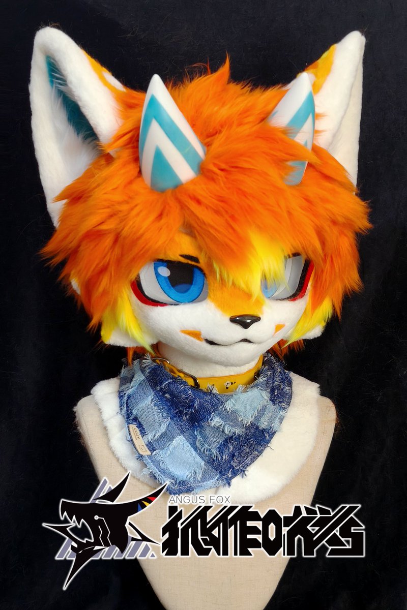 🦊_Angus tweet media