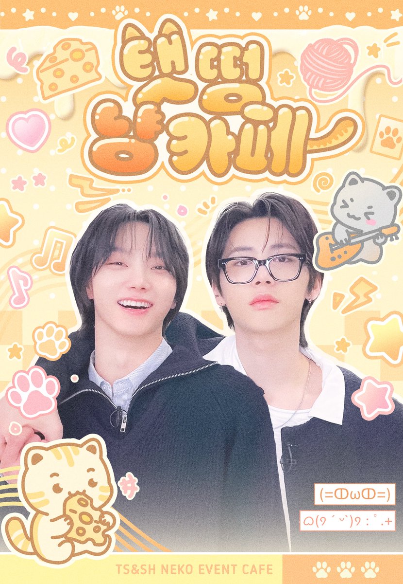 탯떵 냥카페 tweet media