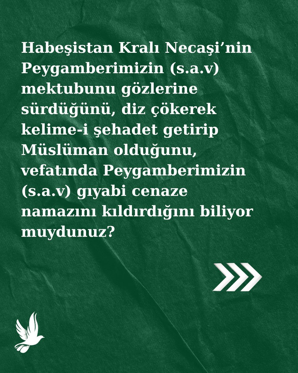 Ulak Kültür Yayınları tweet media