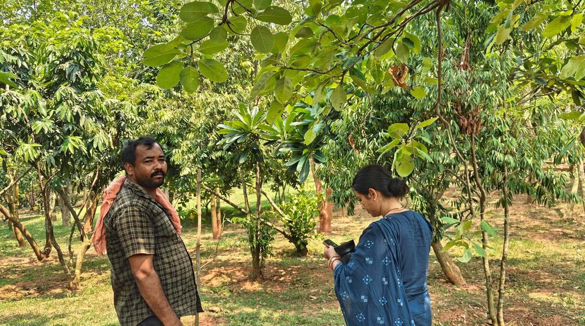 SubhaRout_1998's tweet photo. The study of urban flora in botanical gardens helps conserve biodiversity, protect rare species and spread awareness about the importance of nature in cities. 

@BiotechSanjeet @ajinkyabankar @PMOIndia @CMO_Odisha @DfoRourkela @DfoBonai @BaripadaT @DfoSundargarh @DeogarhDfo @UNEP https://t.co/yrNMw1KSvD