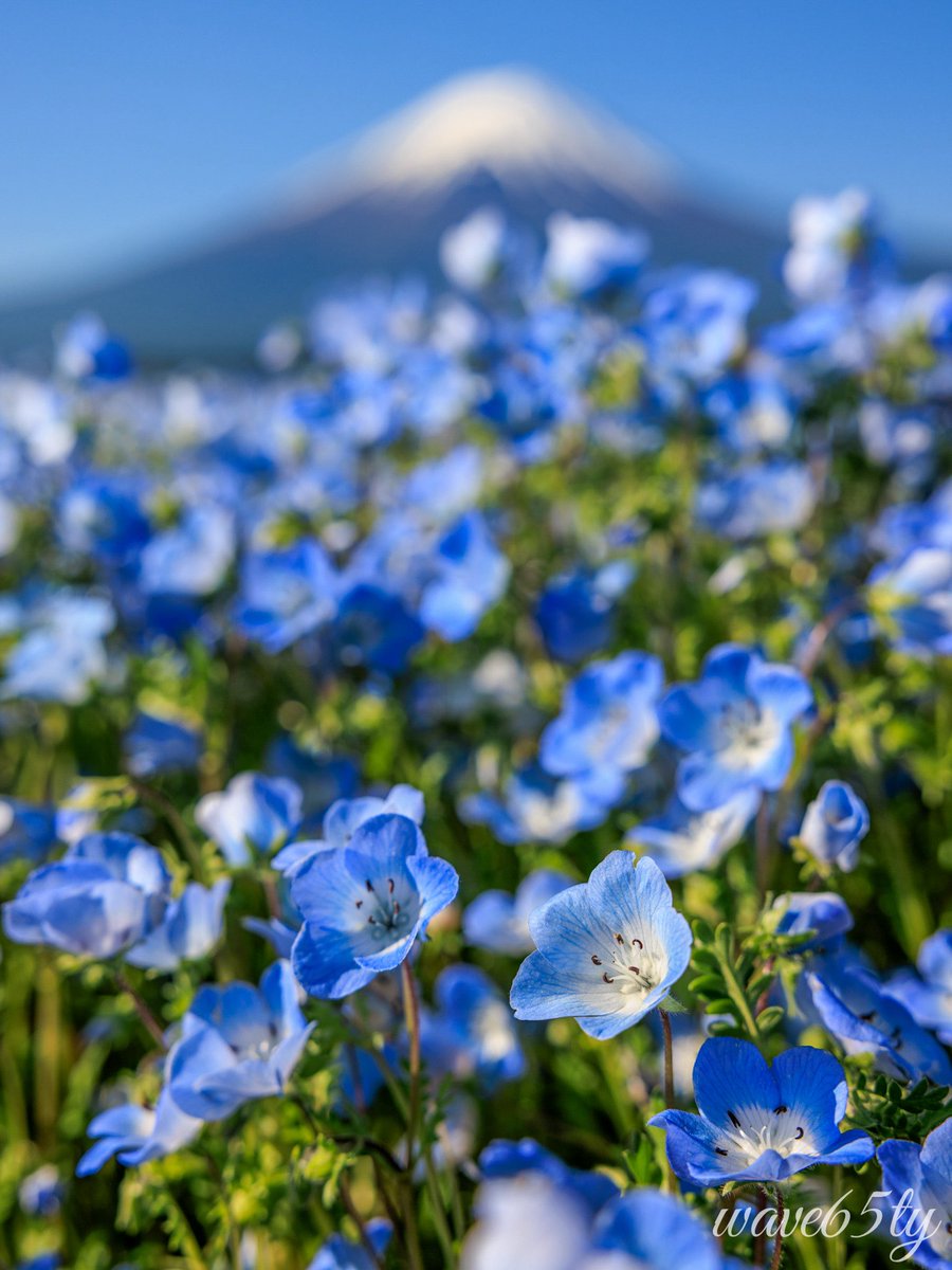 ty_65's tweet photo. 撮影地:山梨県 https://t.co/OgFaAXwftf